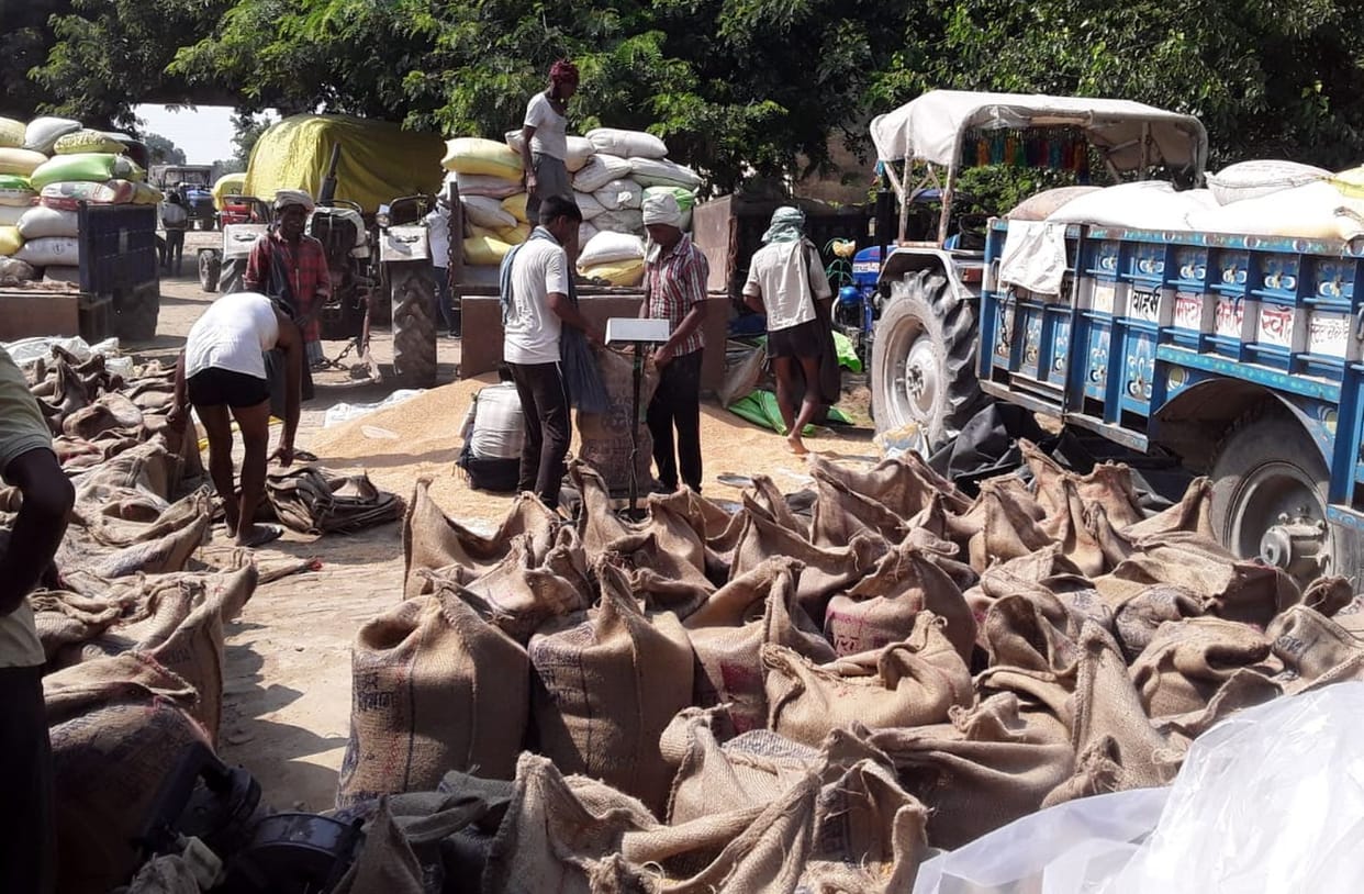 Farmers gathered on the last day, weighing only half the wheat