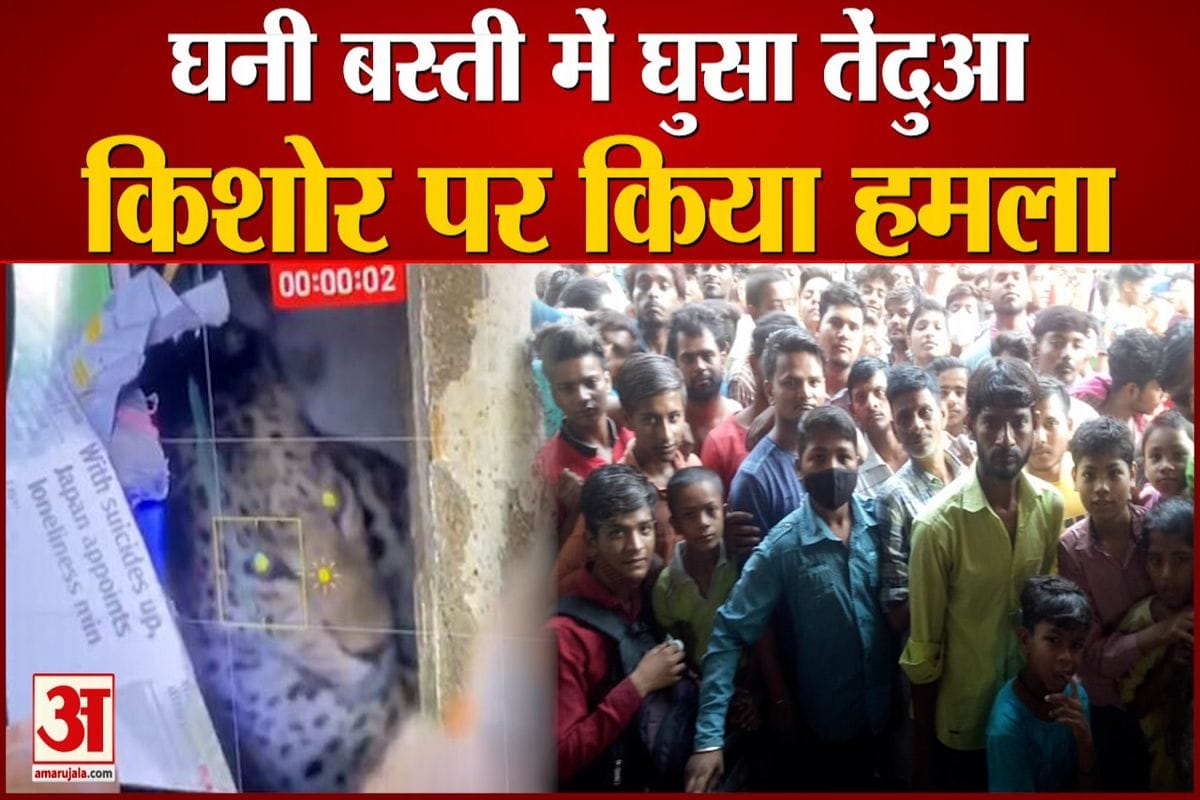 आगरा की घनी बस्ती में आया तेंदुआ