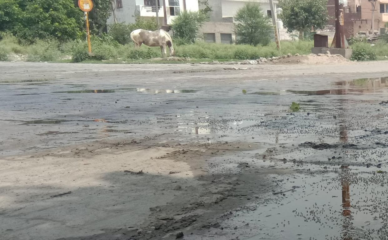 panipat news,road,industrial