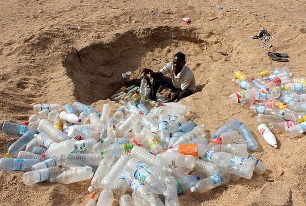 World Environment Day 2022 Don’t Do These Mistakes Will Become Environmental Enemy