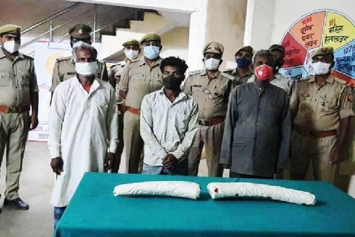 Sonbhadra Police arrested three smugglers with ivory teeth
