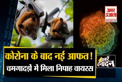 Nipah Virus found in two bat species in  Maharashtra and other 10 big news