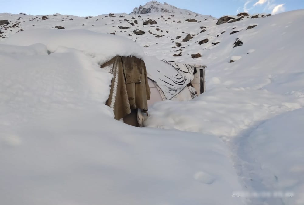 Uttarakhand Weather Monsoon News: Fresh Snowfall in June Month in Higher himalaya Area Photos