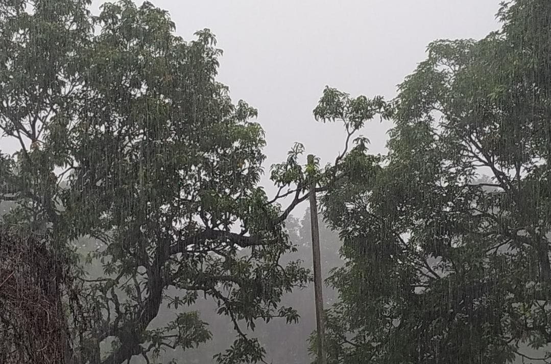 kaheen tej to kaheen dheemee baarish, umas barakaraar