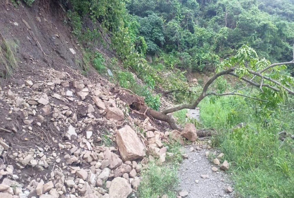 Uttarakhand Monsoon Update: Heavy Rainfall in Uttarakhand, IMD Issue Orange Alert for Many Districts