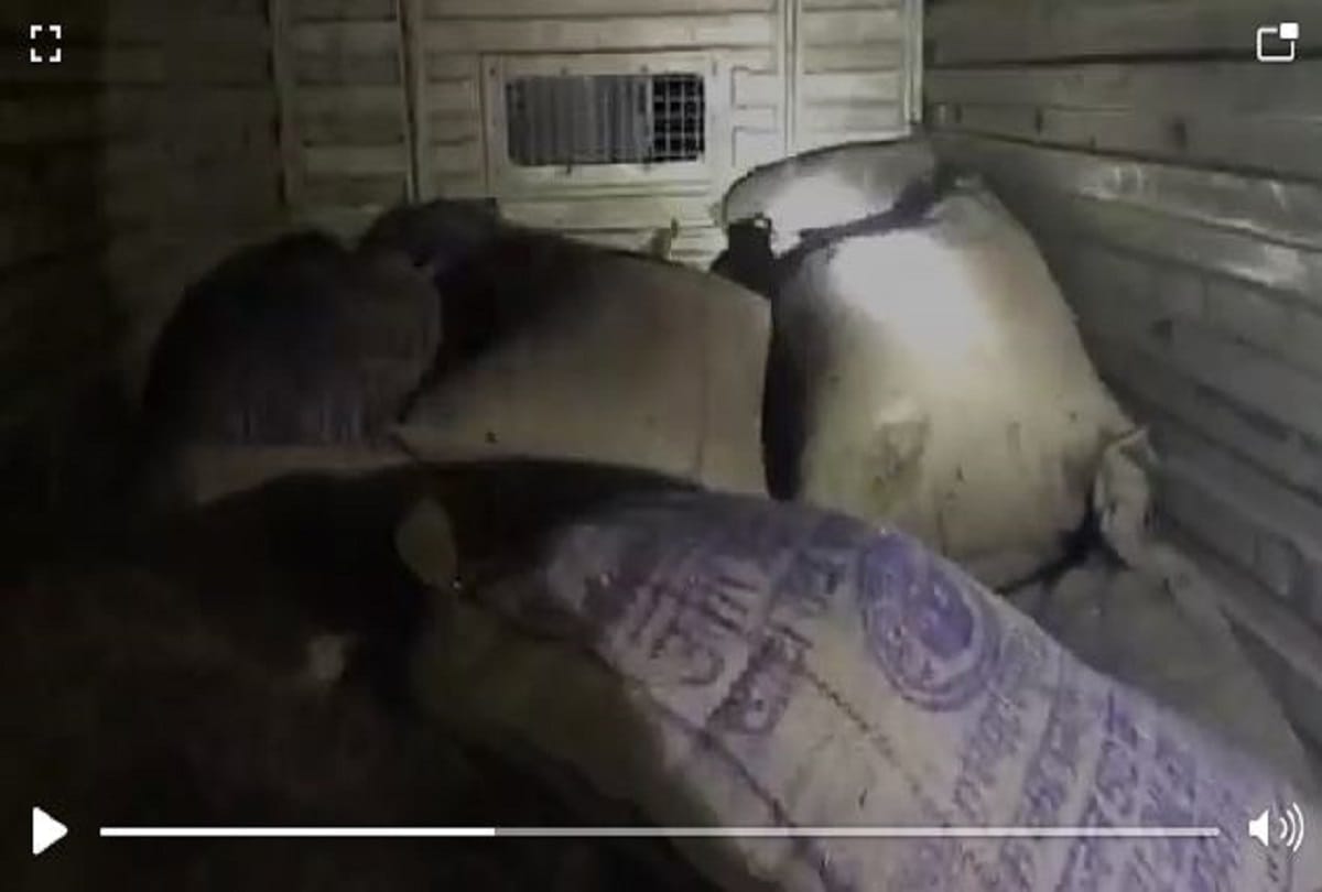 shop in the village distributed from the city two ration distribution shops suspend