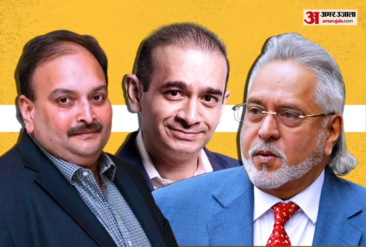 ED said SBI led consortium recovers Rs 792 cr by selling shares of Mallya Nirav Modi Choksi