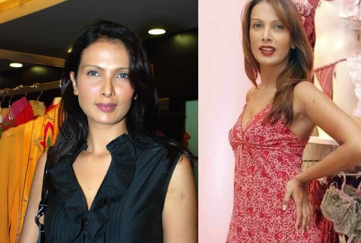 Viveka Babajee Death Still Mystery Mauritian Model Actress Committed Suicide