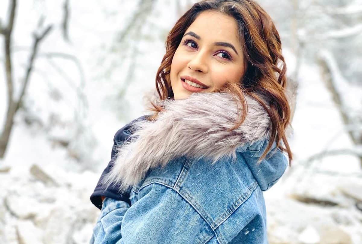 Shehnaaz Gill Birthday Special: Here are Unknown Fact About Punjab ki Katrina Kaif and Bigg Boss 13 Contestant Shehnaaz Kaur Gill