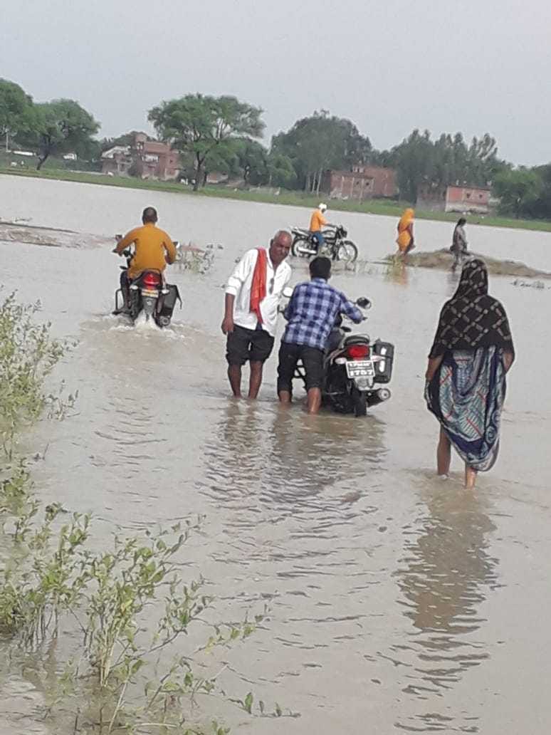 Ghaghra's water level stabilizes, harvesting continues