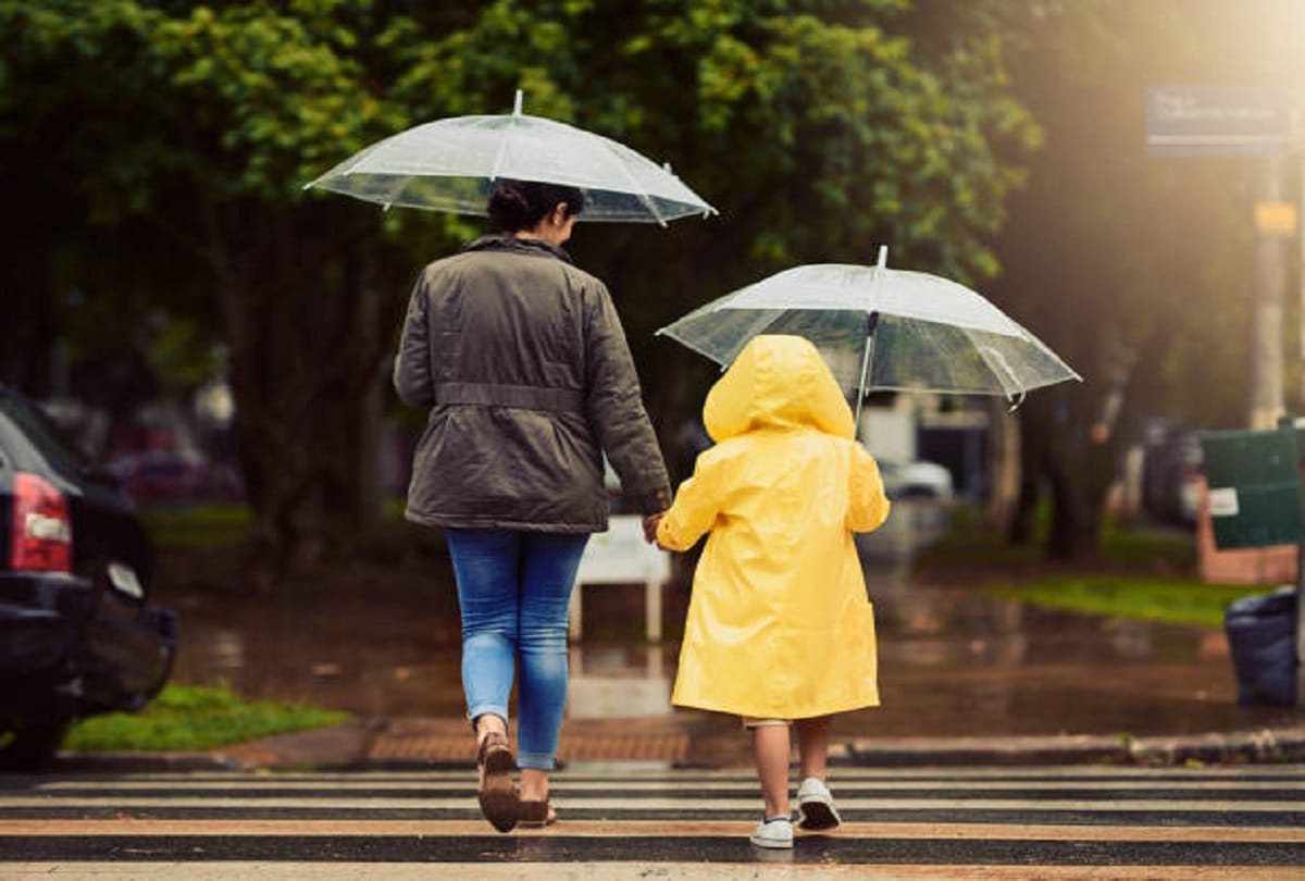 Rainy season diseases Allergic rhinitis also called hay fever symptoms causes and prevention tips