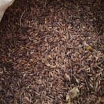 काले चावल के ज्योतिष उपाय
