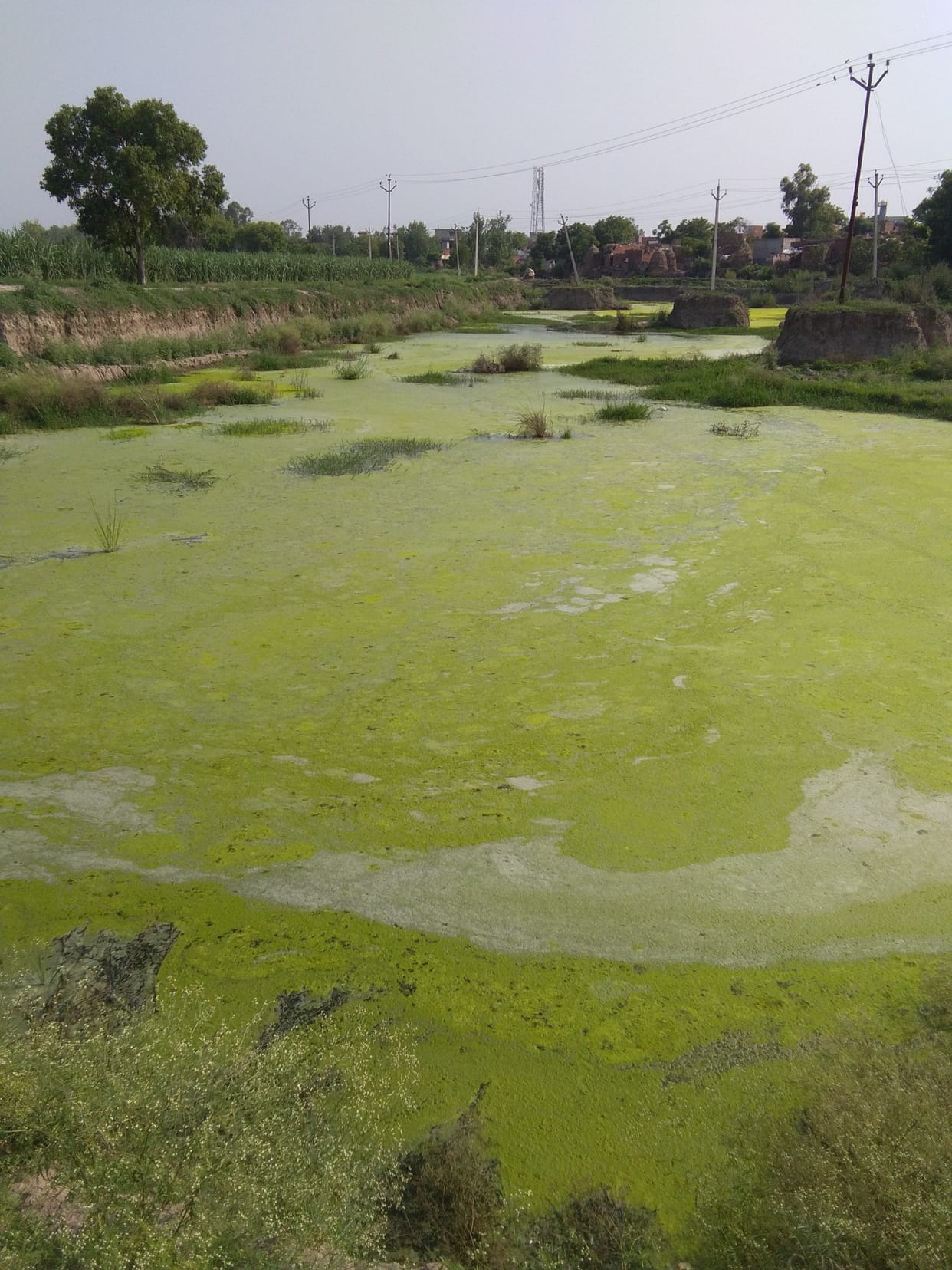 Pond became the source of Kali river in Antwara