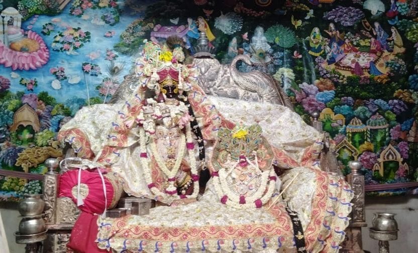 Mathura: Thakurji, sitting amidst fragrant flowers, gave darshan to the devotees