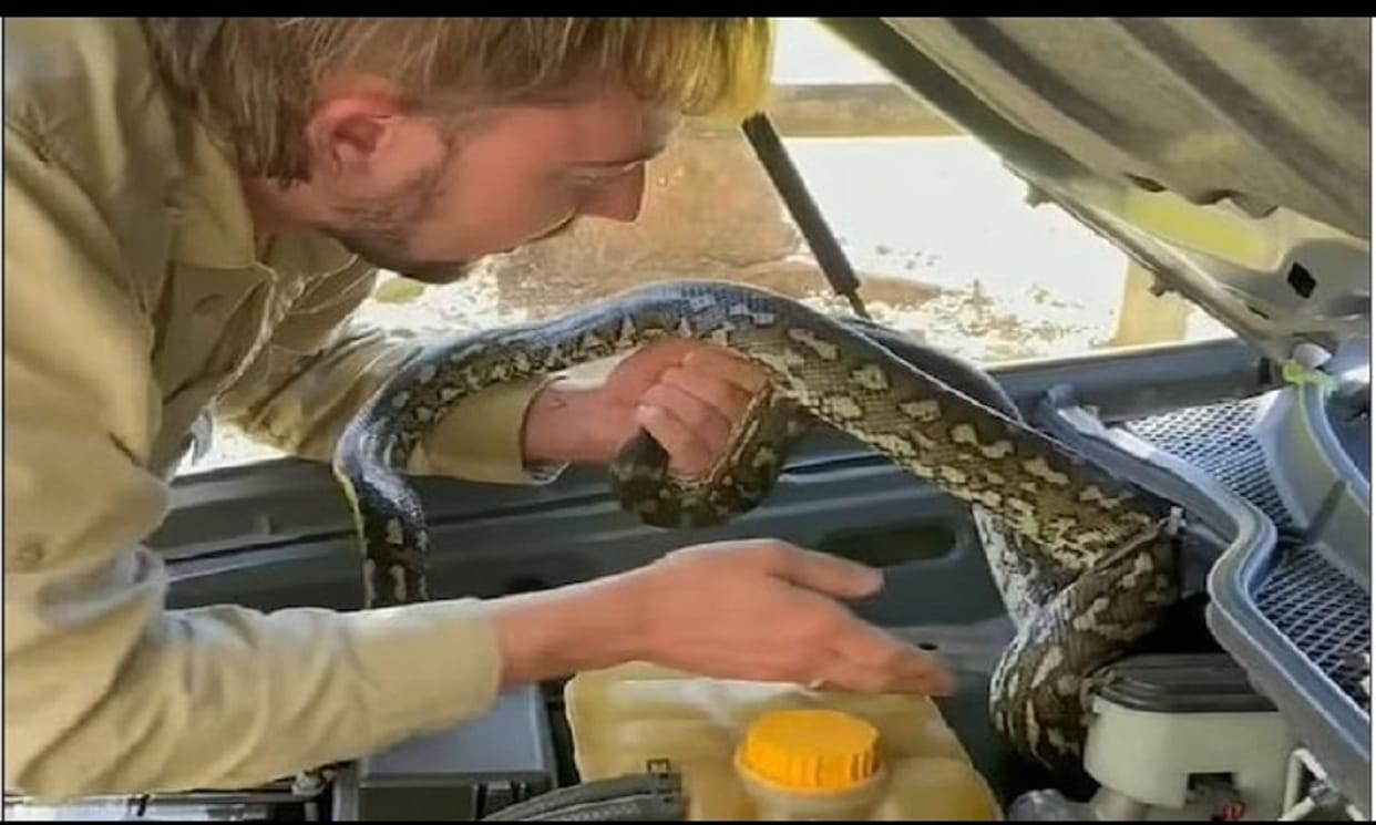 A woman driving a car suddenly came from the bonnet in front of a dragon and then it happened