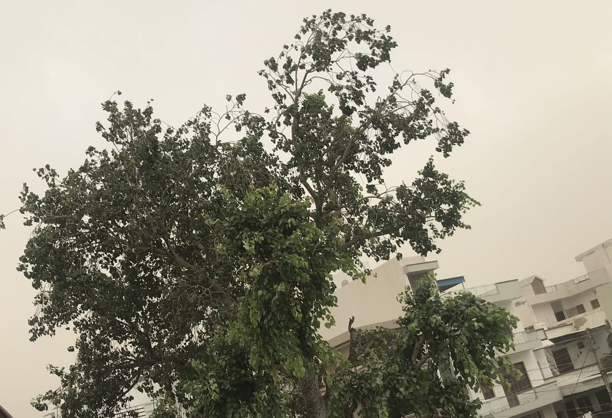 Strong sunshine in the morning, dusty storm after noon