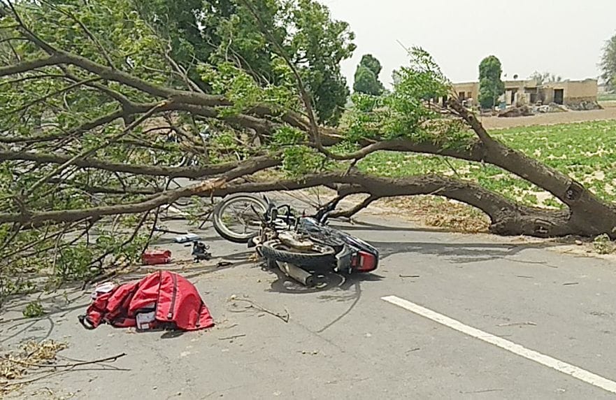 Tree fell on moving bike, youth in critical condition referred to Agroha