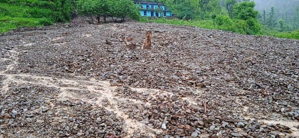 Crop Damage in Moonakot