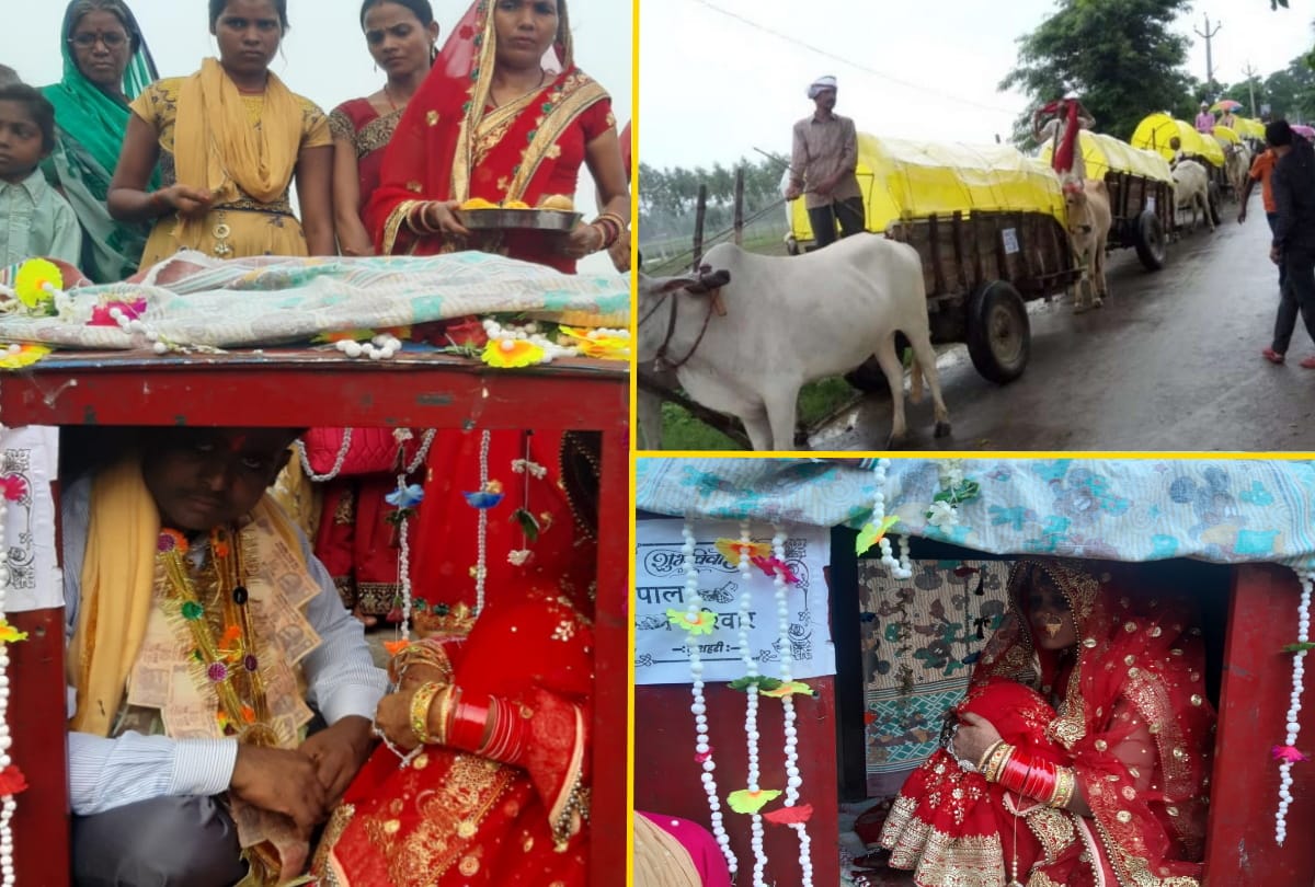 Unique marriage story of groom barat in bullock cart in deoria
