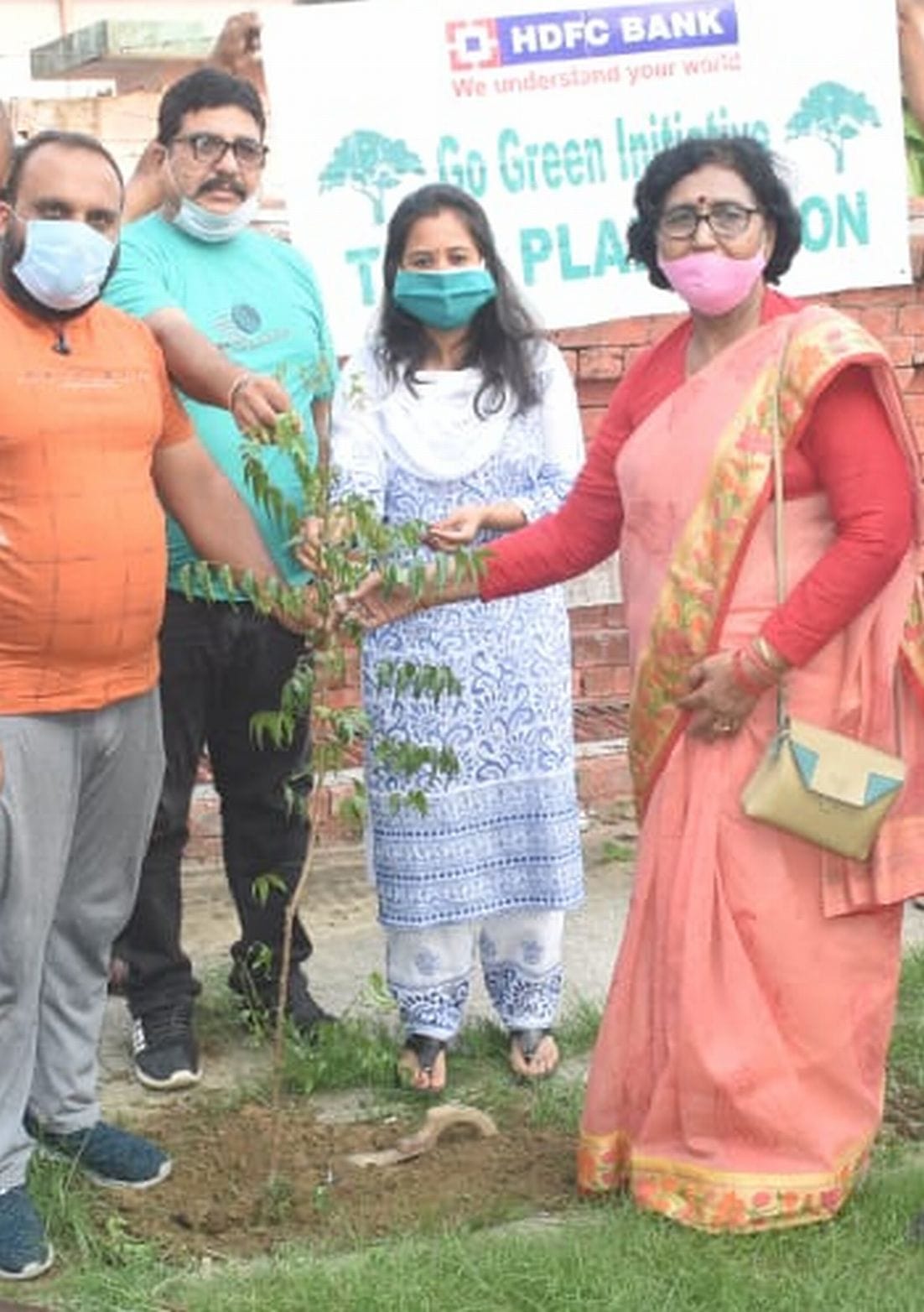 Plantation in Park.