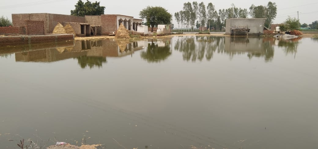 Damage to crops due to water from Mamaur lake