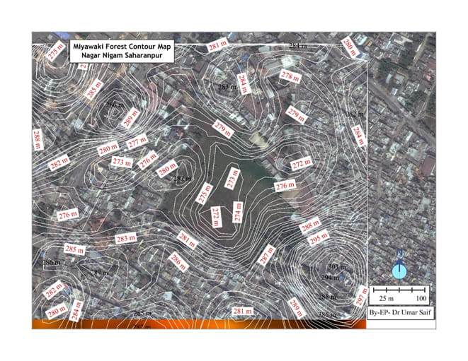 Municipal Corporation will prepare Miyawaki Forest with Japanese technology