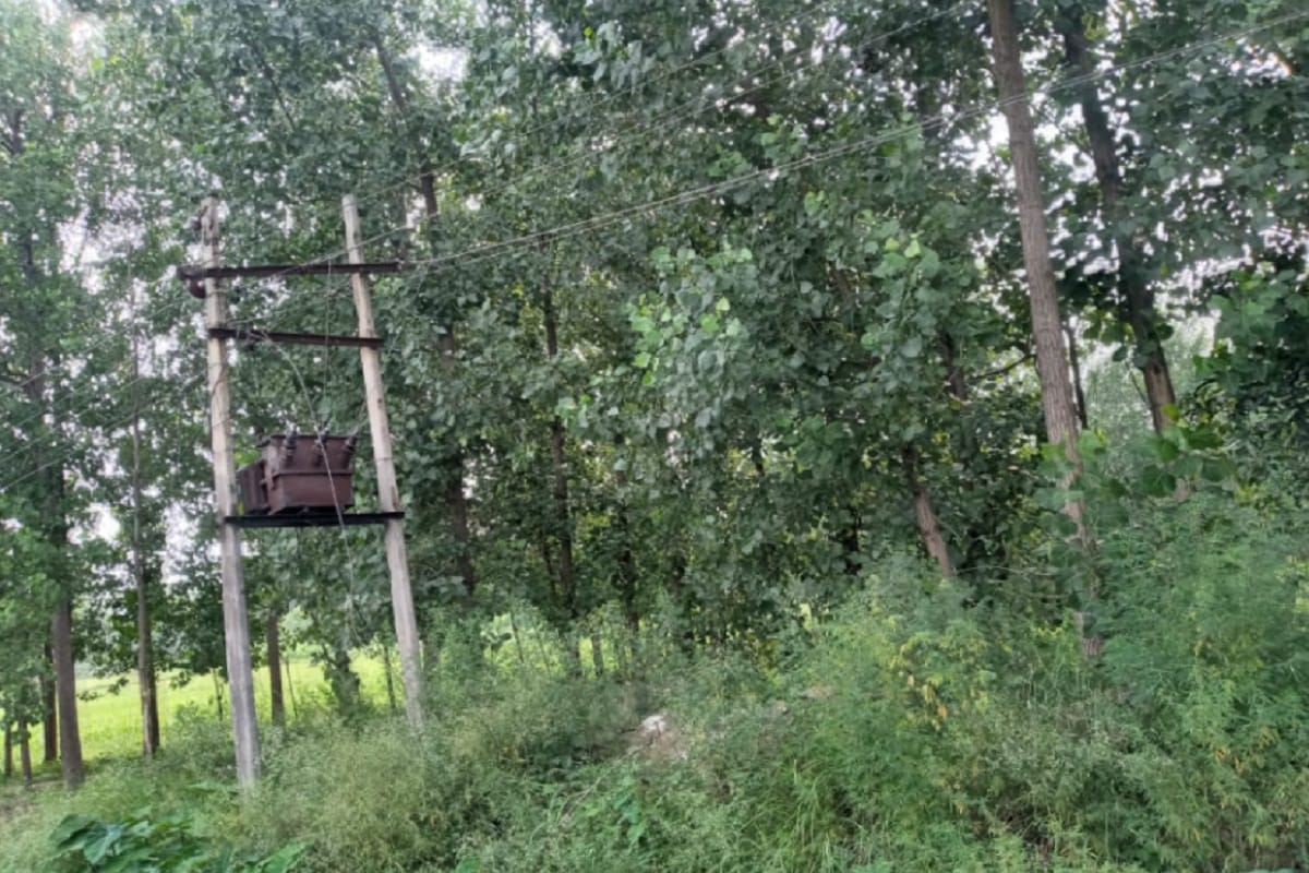 young man who went to graze goats died due to electrocution in Mainpuri