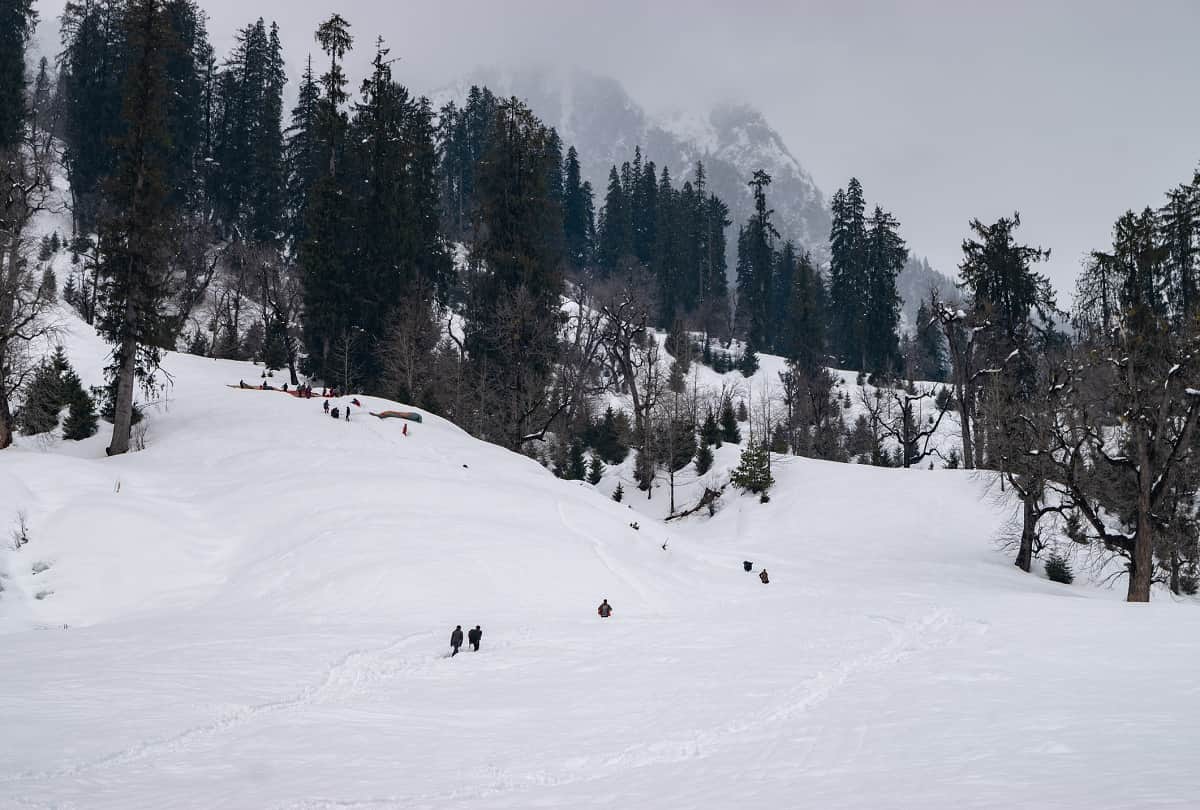 Tourist guide These four places in India are the best for honeymoon