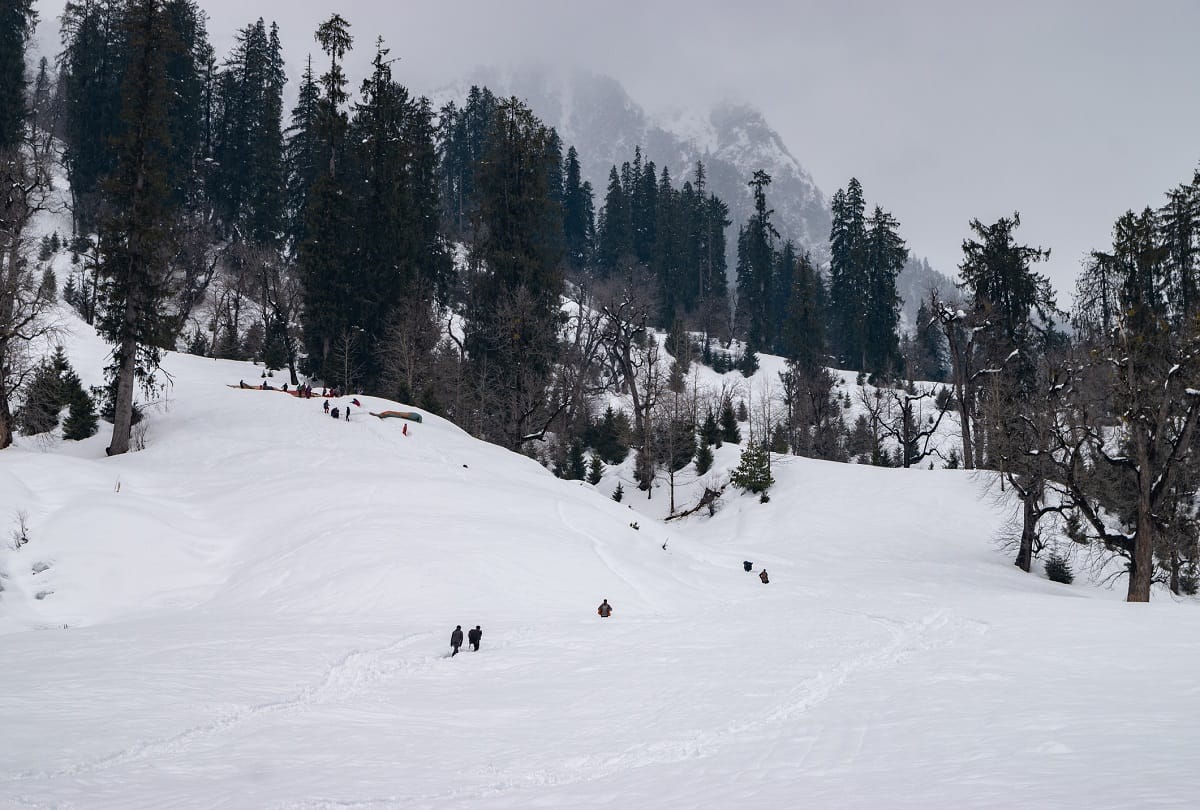 Tourist guide These four places in India are the best for honeymoon