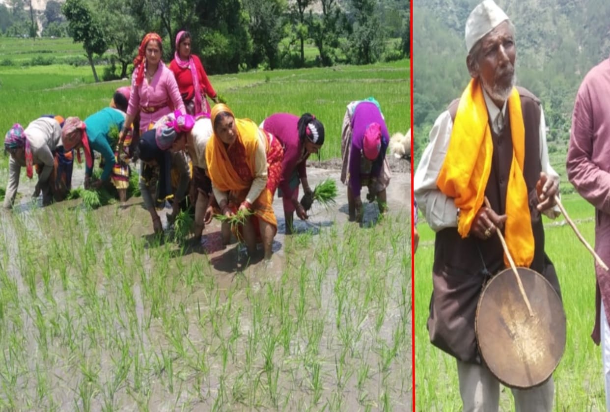 uttarakhand news : villager give last farewell to their fields with songs and wet eyes, photos
