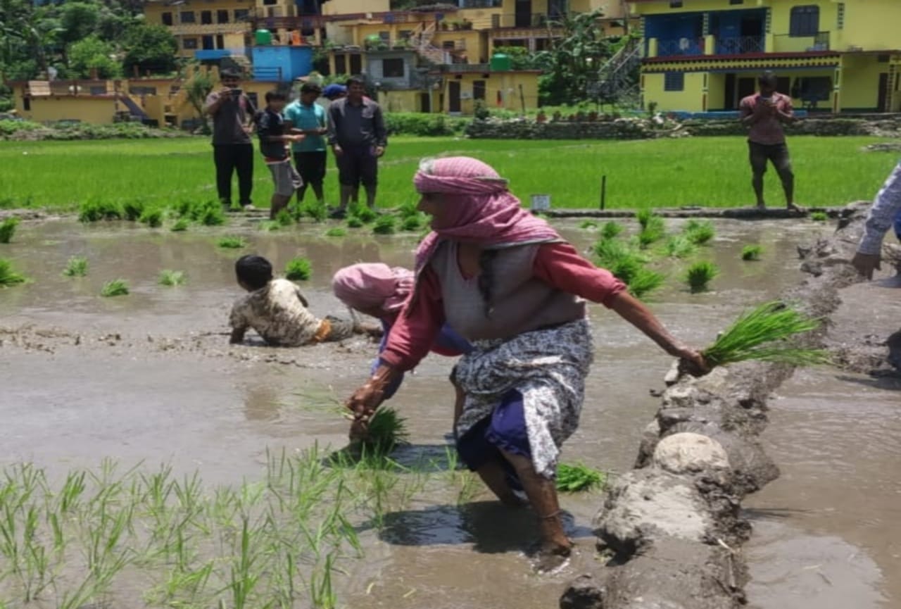 uttarakhand news : villager give last farewell to their fields with songs and wet eyes, photos