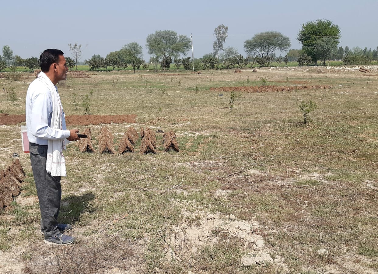 19 lakh plants are not known, 23 lakh saplings are ready to be planted