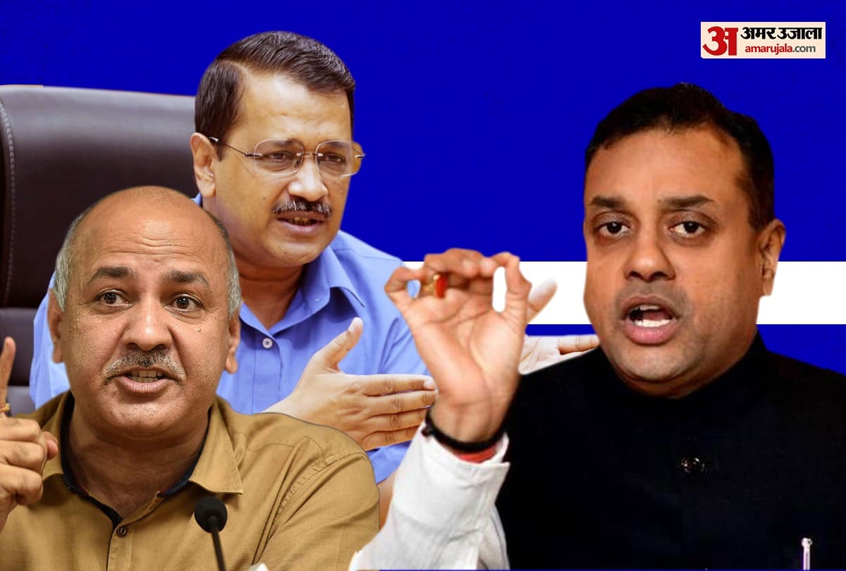 Oxygen Audit Delhi report know what problematic there in supreme court panel report