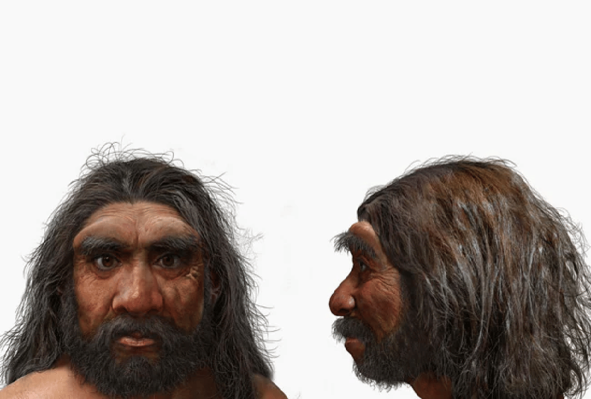 Dragon man scientist say new human species is our closest ancestor here you know all