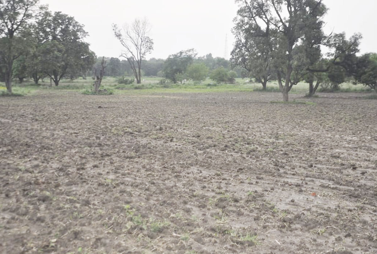 Jammu-kashmir: DC will be able to give 100 kanals of agricultural land only for non-agriculture