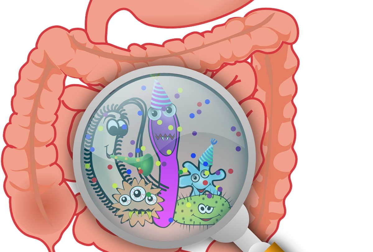 ICU patients are risk of septicemia due to corona