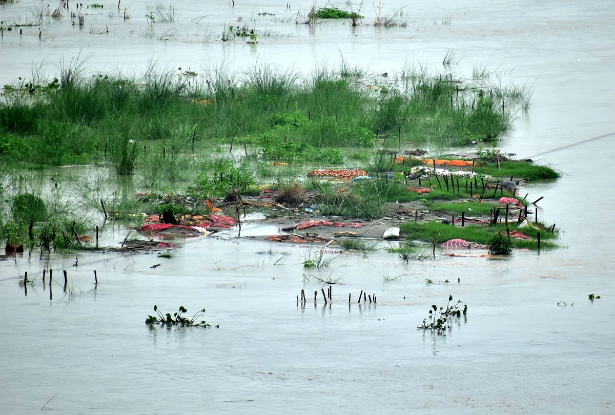 Eight dead bodies came out of the sand island in Prayagraj, were brought to the shore by boats