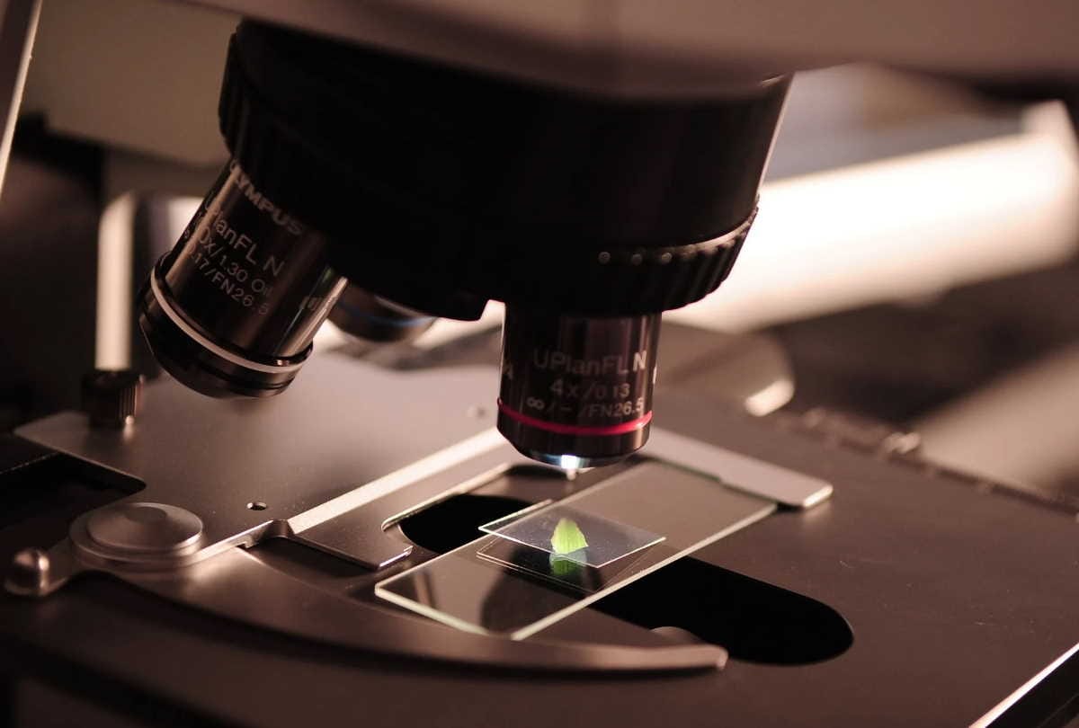 scientists developed a chewing gum to reduce SARS-CoV-2 virus transmission