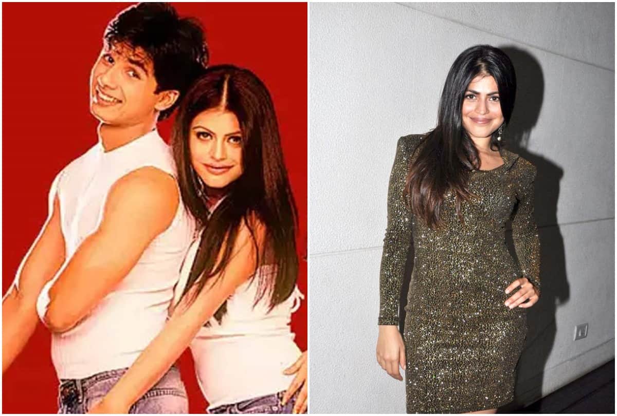 Shenaz Treasury's Birthday: Where Is 'Ishq Vishq' Fame Actor Now