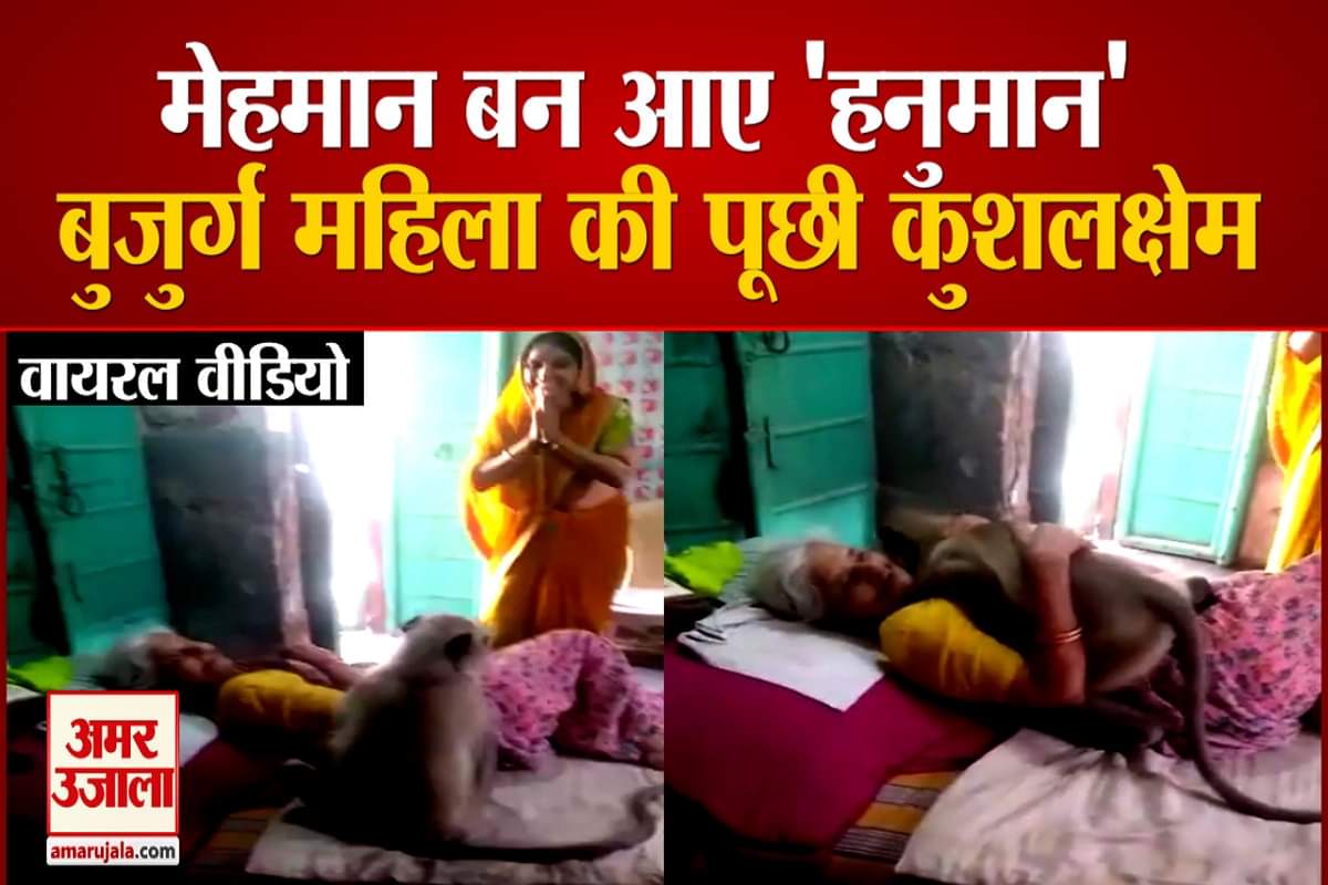 वायरल वीडियो