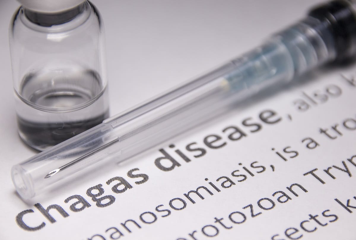 national doctors day 2021 most dangerous diseases These are the four most dangerous diseases