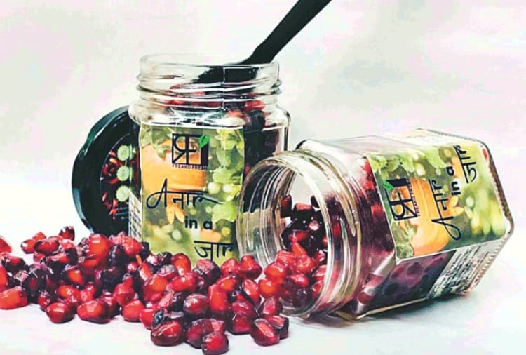 Students of Panjab University develop organic Formula for keeping Pomegranate fresh for 15 days
