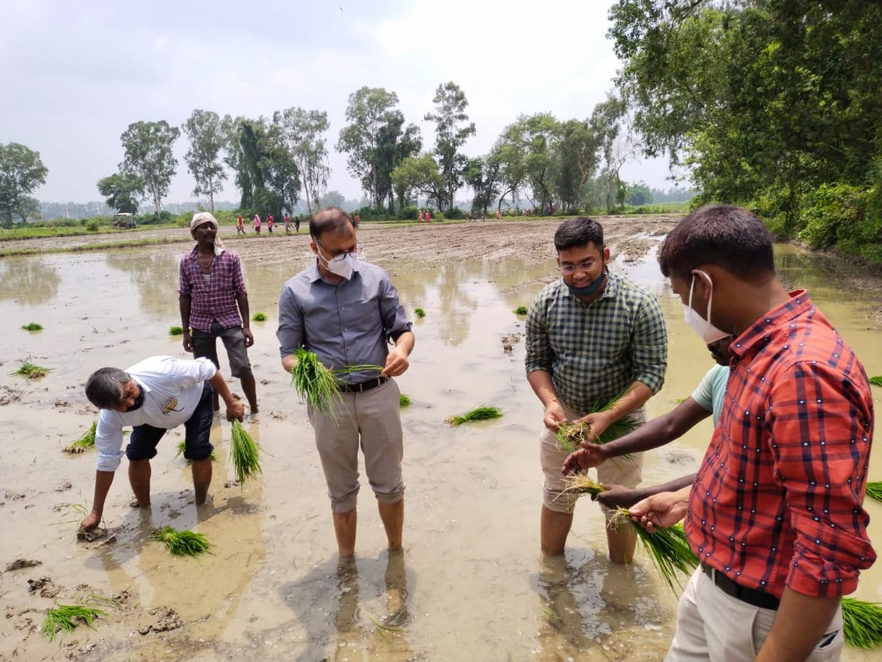 Sonbhadra DM Abhishek Singh planted paddy in the field