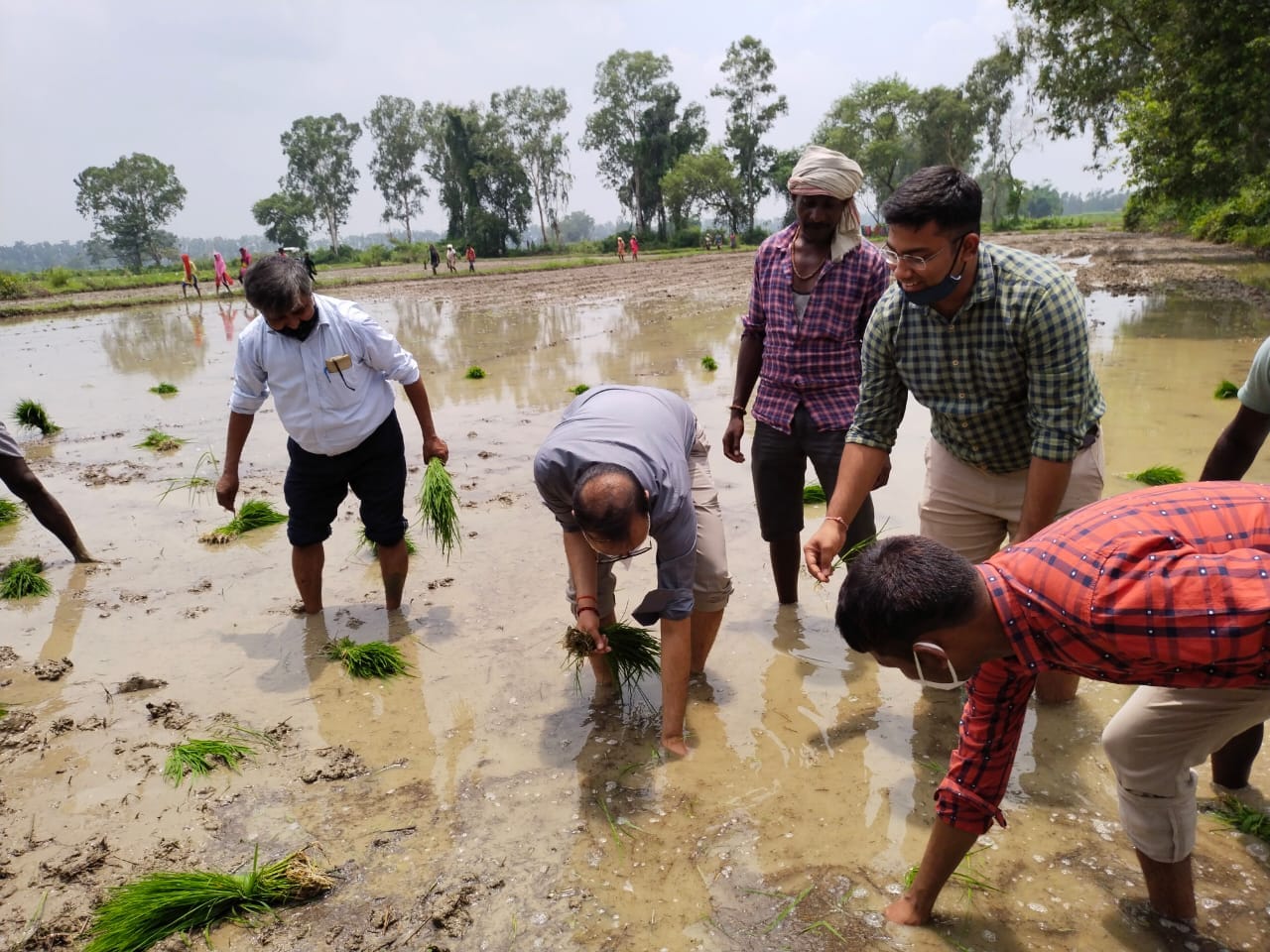 Sonbhadra DM Abhishek Singh planted paddy in the field