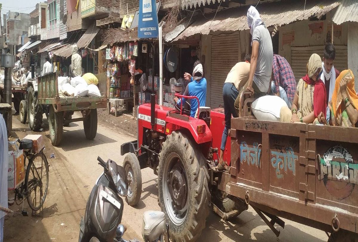 Agra Wheat Procurement Centres Purchase Closed From 15 June
