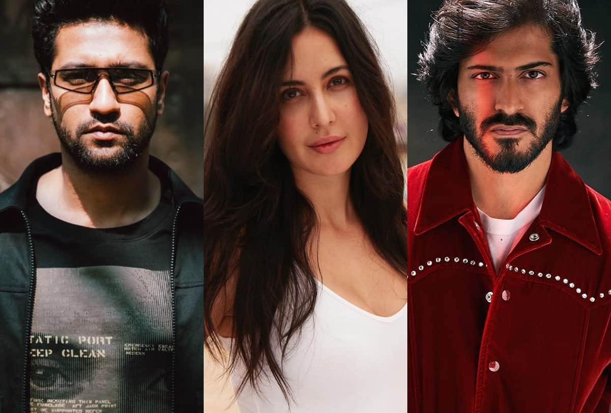 Vicky Kaushal Asks Katrina Kaif will you marry me salman khan gives this reaction
