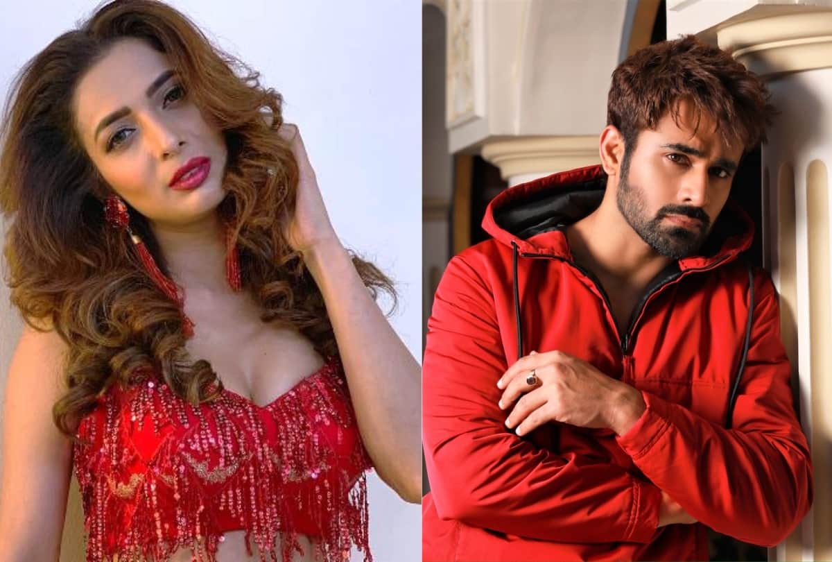 Actress Heena Panchal Sent To Police Custody In Drugs Syndicate And Pearl V Puri Breaks Silence On Accusations Of Minor Rape Case