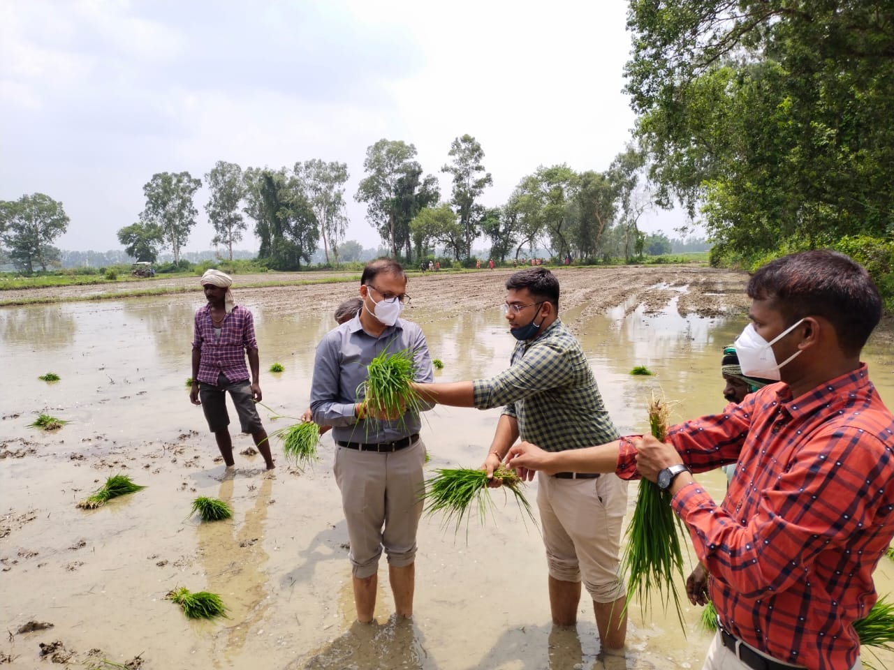 Sonbhadra DM Abhishek Singh planted paddy in the field