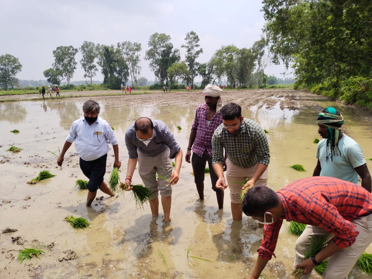 Sonbhadra DM Abhishek Singh planted paddy in the field
