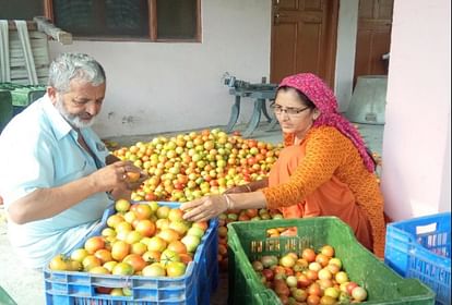 retail inflation may rise in July due to High vegetable prices tomato prices surge Report